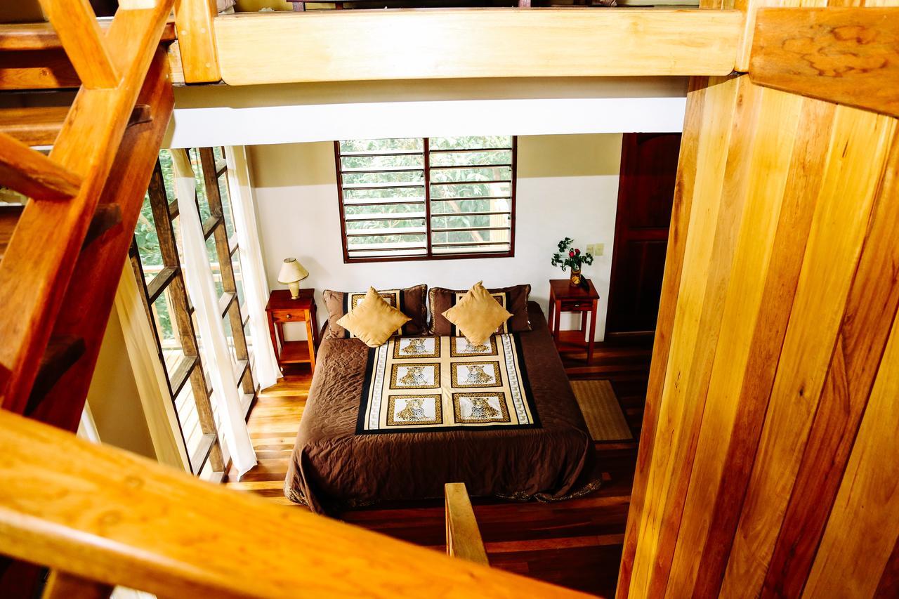 Amber Sunset Jungle Resort San Ignacio Exterior photo